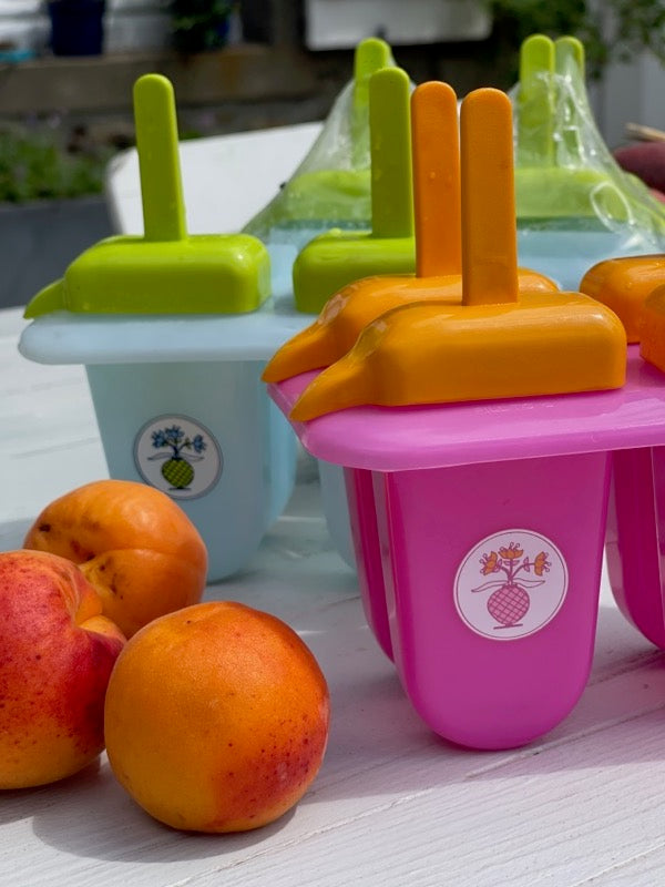 Plastique Moule à glaces
