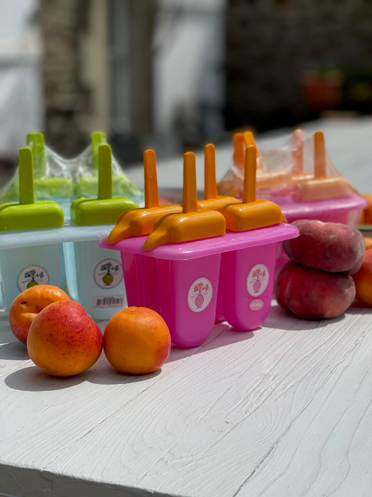 Plastique Moule à glaces