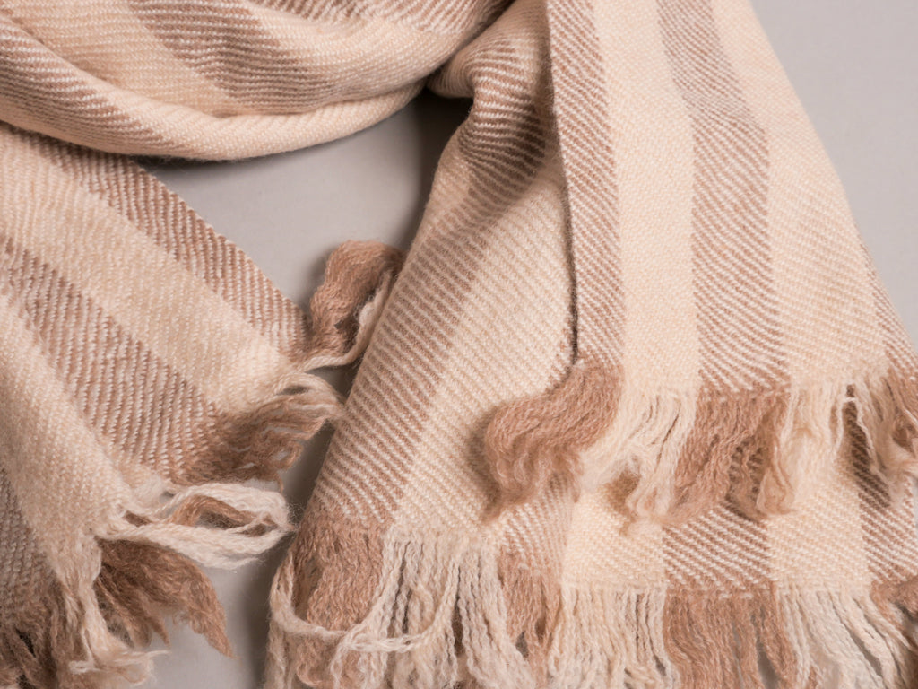 Pashmina de Ladakh, IG Pashmina 