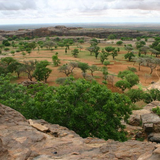 Pays Dogon