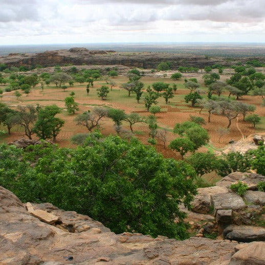 Pays Dogon